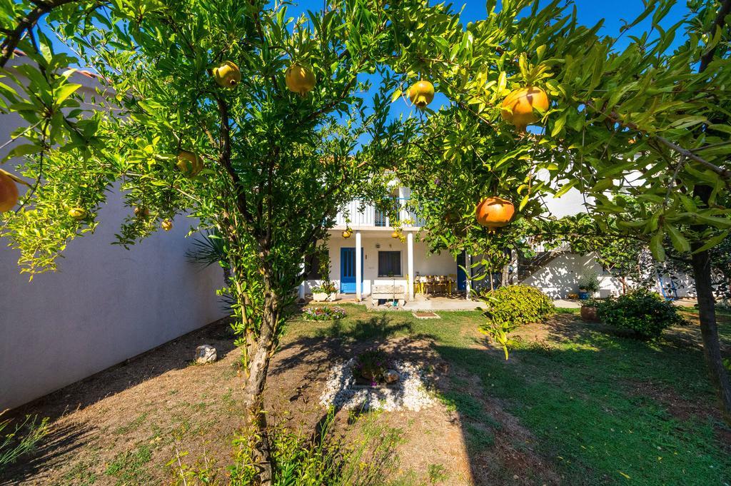 Apartment Marul Zadar Exteriér fotografie